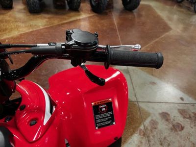 2026 Honda TRX90X - Photo 10