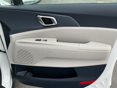 2026 Kia Carnival Hybrid — photo 21 view