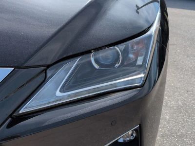 2016 Lexus RX — photo 10 view
