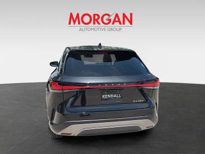 2024 Lexus RX — detail view
