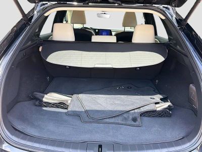 2024 Lexus RX — photo 25 view