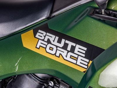 2026 Kawasaki Brute Force 750 SE EPS - Photo 18