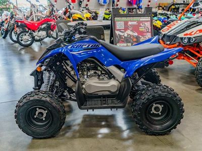 2026 Yamaha Raptor 110 - Photo 3