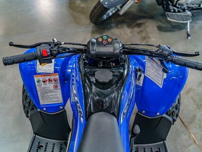 2026 Yamaha Raptor 110 - Photo 5