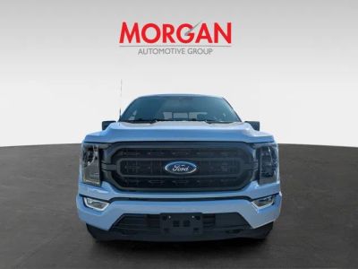 2022 Ford F-150 — photo 8 view