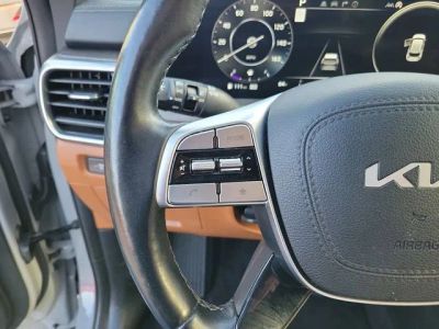 2024 Kia Telluride — photo 17 view