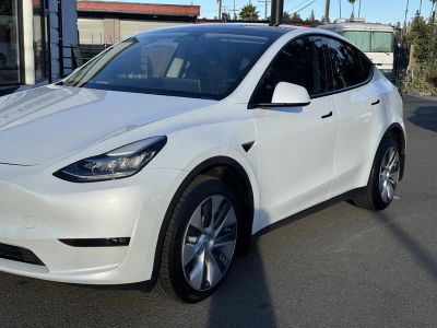 2023 Tesla Model Y — photo 25 view