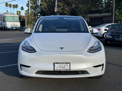 2023 Tesla Model Y — photo 26 view