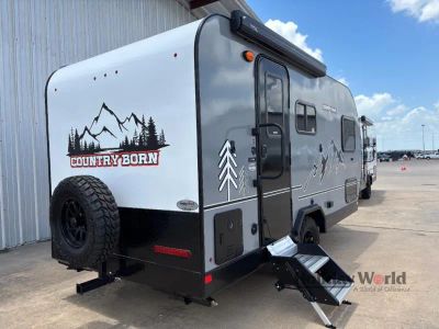 2025 Modern Buggy Country Born CB16 — photo 19 view
