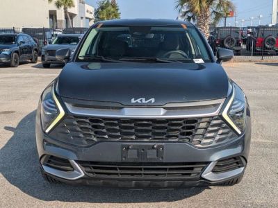 2024 Kia Sportage - Photo 8