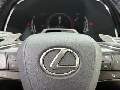 2023 Lexus RX 350 Luxury - Photo 28