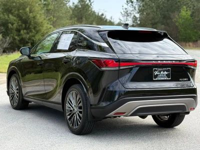 2023 Lexus RX 350 Luxury - Photo 9