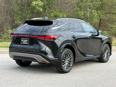 2023 Lexus RX 350 Luxury - Photo 12