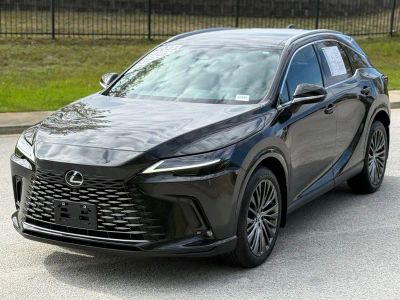 2023 Lexus RX 350 Luxury - Photo 7