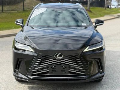 2023 Lexus RX 350 Luxury - Photo 6