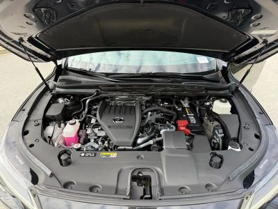 2023 Lexus RX 350 Luxury - Photo 16