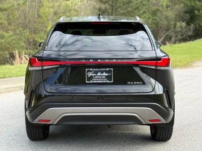 2023 Lexus RX 350 Luxury - Photo 10