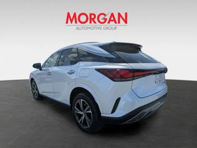 2023 Lexus RX — detail view