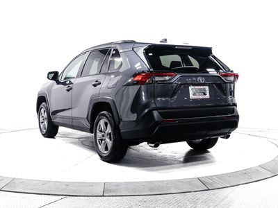 2025 Toyota RAV4 - Photo 8