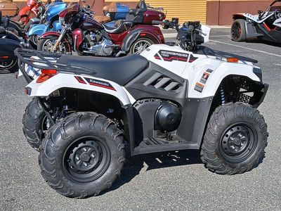 2025 Kawasaki Brute Force 450 4x4 - Photo 17