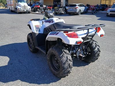 2025 Kawasaki Brute Force 450 4x4 - Photo 10