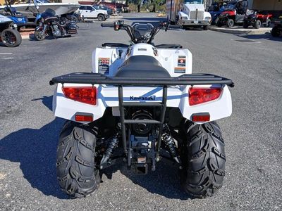 2025 Kawasaki Brute Force 450 4x4 - Photo 13