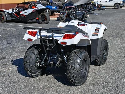 2025 Kawasaki Brute Force 450 4x4 - Photo 14