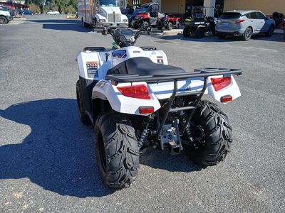 2025 Kawasaki Brute Force 450 4x4 - Photo 11