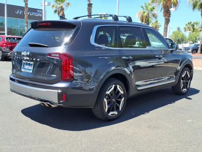 2025 Kia Telluride — detail view