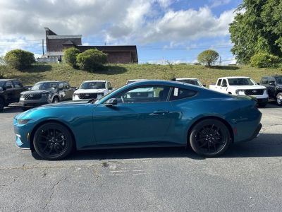 2026 Ford Mustang - Photo 4