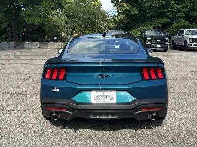 2026 Ford Mustang - Photo 6