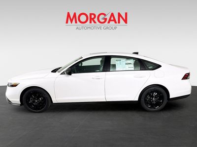 2025 Honda Accord Sedan - Photo 5