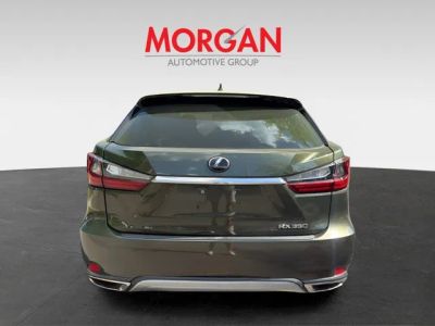 2021 Lexus RX — detail view