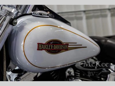 2007 Harley-Davidson Softail - Photo 6