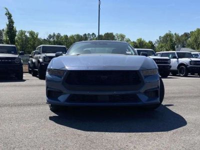 2026 Ford Mustang — photo 19 view
