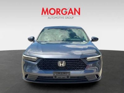 2023 Honda Accord Sedan — side profile view