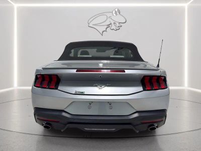 2024 Ford Mustang — detail view