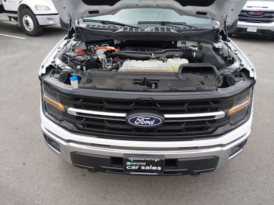 2024 Ford F-150 — photo 9 view