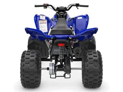 2026 Yamaha Raptor 110 - Photo 8