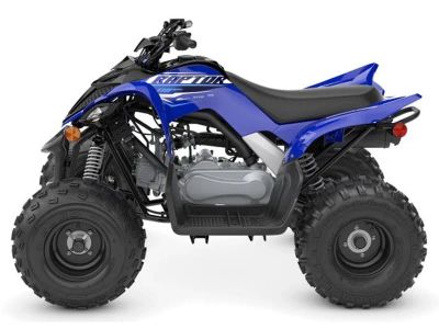 2026 Yamaha Raptor 110 - Photo 2