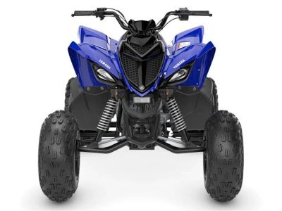 2026 Yamaha Raptor 110 - Photo 5