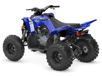 2026 Yamaha Raptor 110 - Photo 7