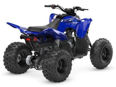 2026 Yamaha Raptor 110 - Photo 6