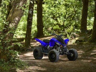 2026 Yamaha Raptor 110 - Photo 9