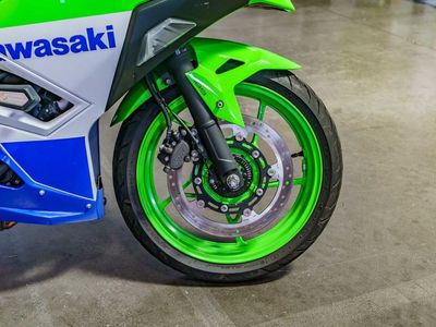2024 Kawasaki Ninja 500 SE 40th Anniversary Edition ABS - Photo 14