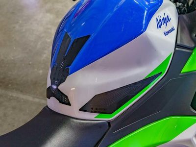 2024 Kawasaki Ninja 500 SE 40th Anniversary Edition ABS - Photo 9