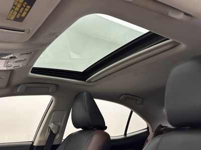2019 Lexus IS - Photo 5