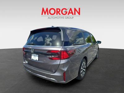 2026 Honda Odyssey — interior view