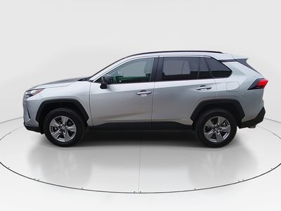 2025 Toyota RAV4 - Photo 4