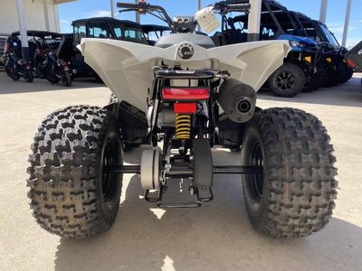 2026 Can-Am Renegade 110 EFI - Photo 15
